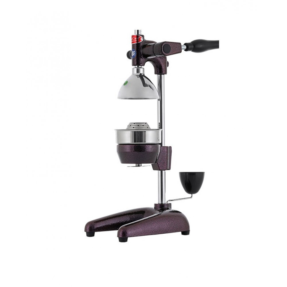 Manual Fruit Press