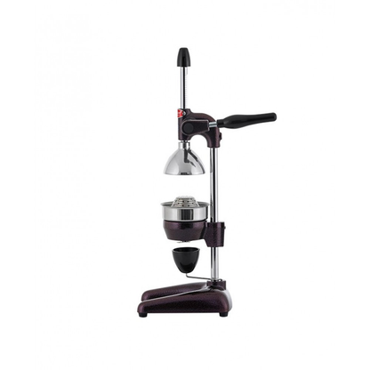 Manual Fruit Press