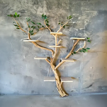 Solid Wood Tree Branch Wall Mount Bookshelf