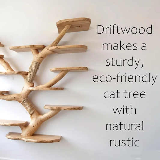 Wall-Mount Cat Tree Bookshelf