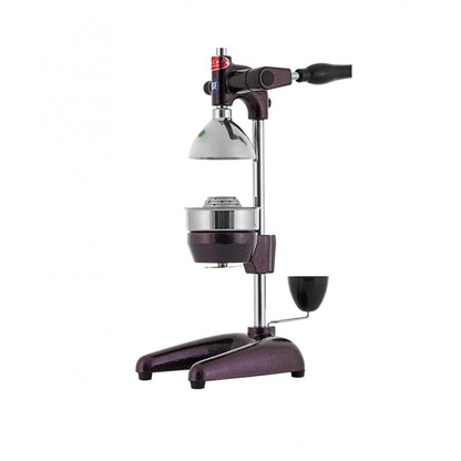 Manual Fruit Press